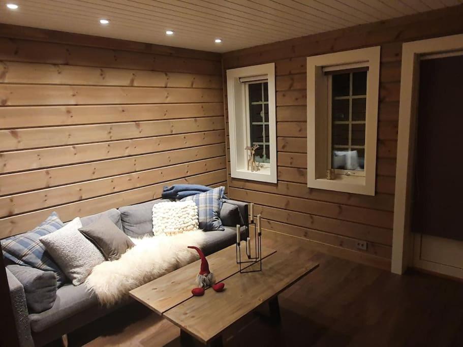 New, Mountain Paradise, Fishing, Biking, Mountaineering Tyinkrysset