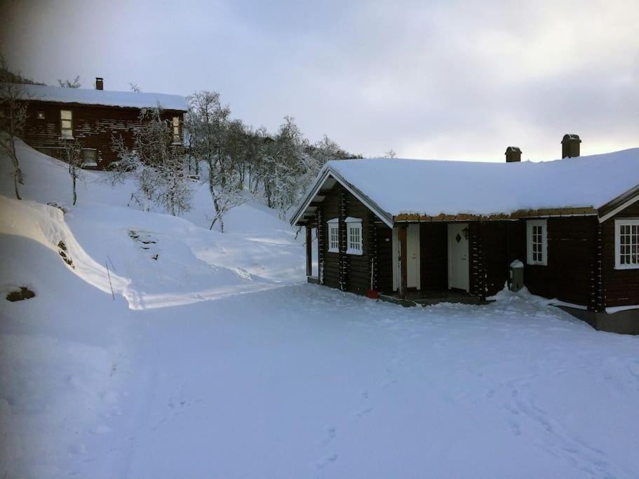 New, Mountain Paradise, Fishing, Biking, Mountaineering * Tyinkrysset
