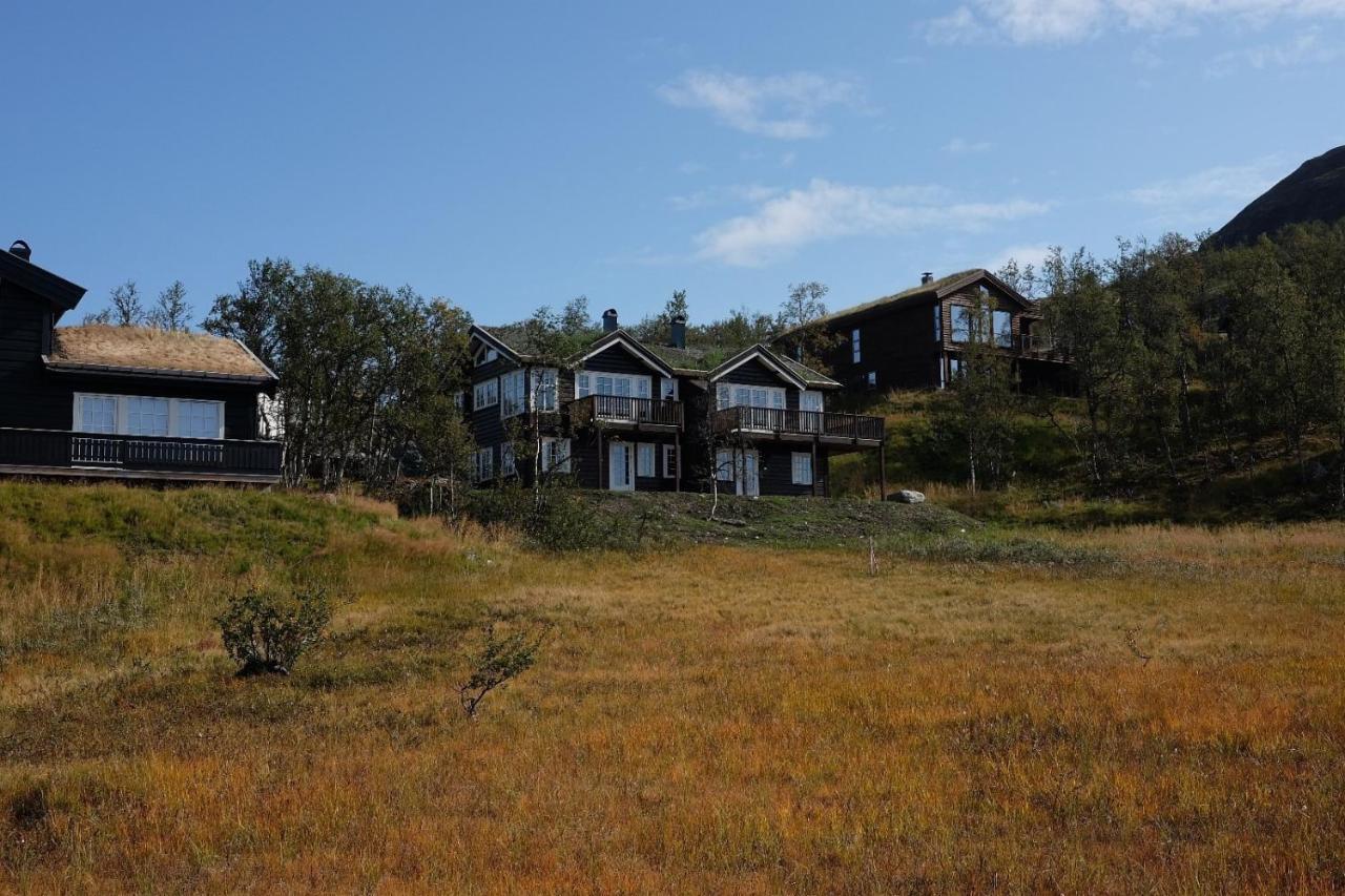 New, Mountain Paradise, Fishing, Biking, Mountaineering * Tyinkrysset